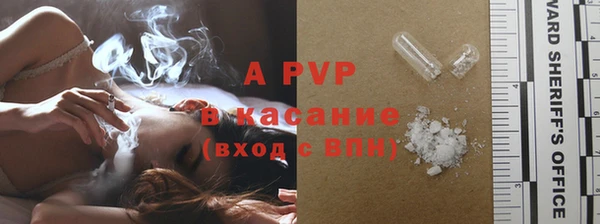 PSILOCYBIN Беломорск