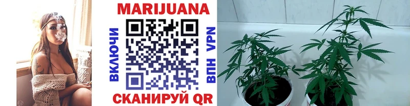 Каннабис тримм  даркнет сайт  Буинск 